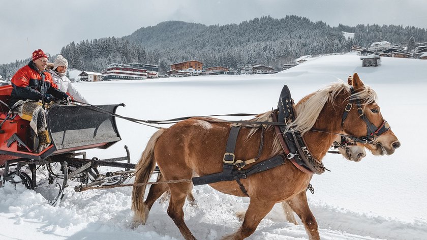 Mit dem Pferdeschlitten durch die Region Wilder Kaiser Pferdeschlittenfahrt mit vier Personen durch verschneite Winterlandschaft