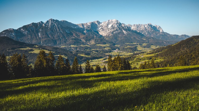 Ellmauer Steinkreis Wanderung Grüne Wiese mit Blick auf bewaldete Hügel und schneebedeckte Berge unter blauem Himmel