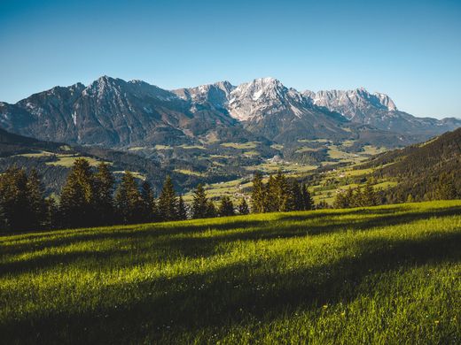 Kurzurlaub am Wilden Kaiser: Auszeit im Hotel Postwirt in Söll Grüne Wiese mit Blick auf bewaldete Hügel und schneebedeckte Berge unter blauem Himmel